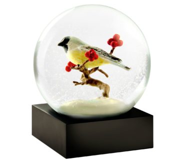 Cool Snow Globes image