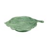 Leaves image