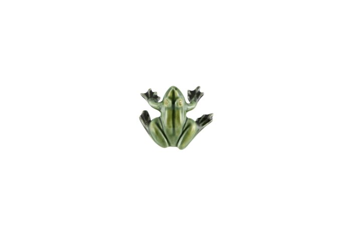 Magnet frosk
