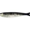 Sardines image