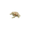 Toads image