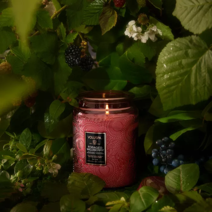 Duftlys 100t Foraged Wildberry