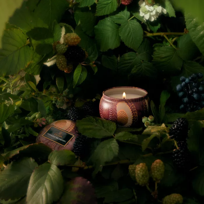 Duftlys 25t Foraged Wildberry
