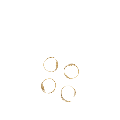 FermLiving_Holiday2025_HollyLeafNapkinRings_SetOf4_Brass_1104271779_1 FermLiving_Holiday2025_HollyLeafNapkinRings_SetOf4_Brass_1104271779_1