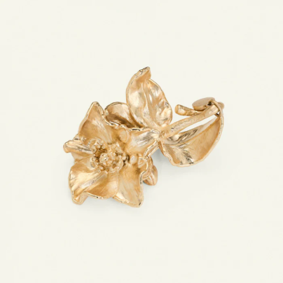 Flora Danica_julerose_gull