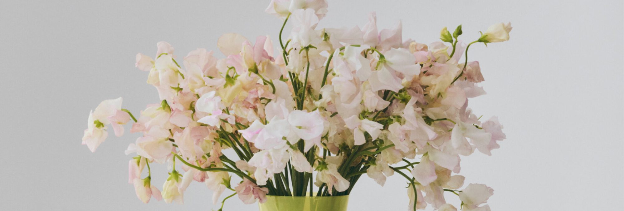 Conical Vase S light green and dark lime