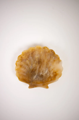 Serveringsfat 14,5cm_Resin