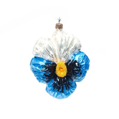 Stemorsblomst blåhvitsort_Backe Spring