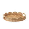 Scallop image