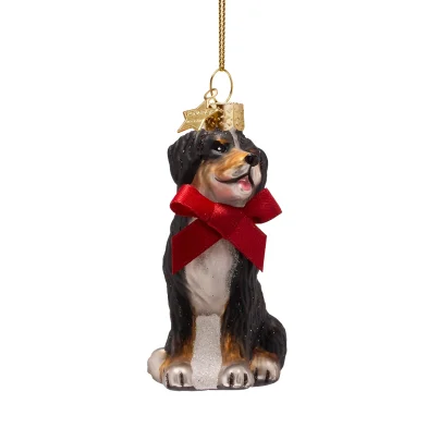 Vondels Berner sennenhund med sløyfe